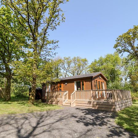 Dove Lodge Beaworthy Exterior photo